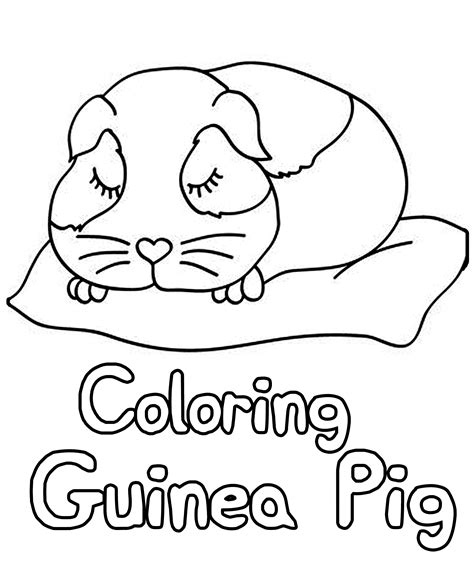 colouring pages guinea pigs